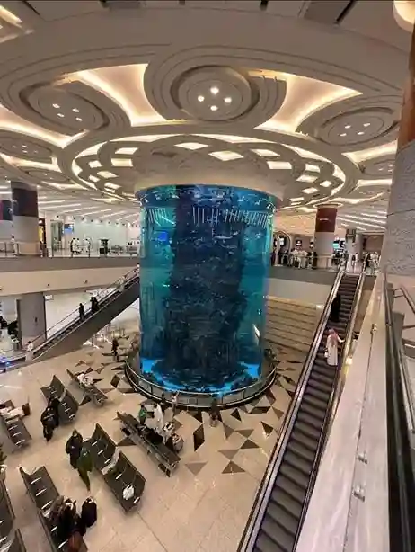Explore Jeddah